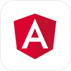 Angular web development service