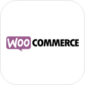 woocommerce web development service