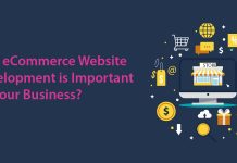 Why eCommerce Website Development is Important for Your Business?