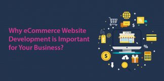 Why eCommerce Website Development is Important for Your Business?