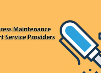 Best WordPress Maintenance and Support Service Providers