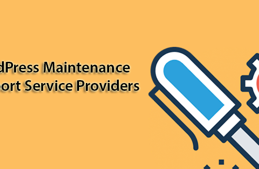 Best WordPress Maintenance and Support Service Providers