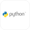 python web development