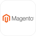 magento ecommerce web development