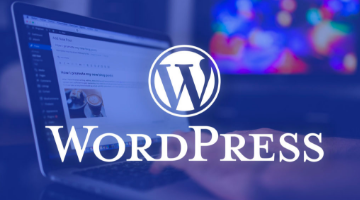 wordpress web development company