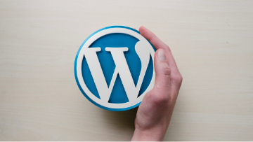 hire wordpress developer