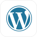 wordpress website development services usa