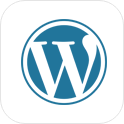 wordpress web development company usa